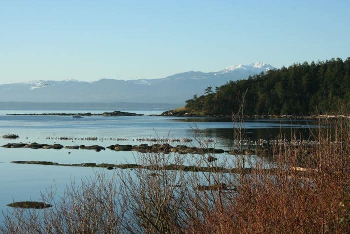 Hornby Island, BC | Accommodations | Sandpiper Waterfront Cottage