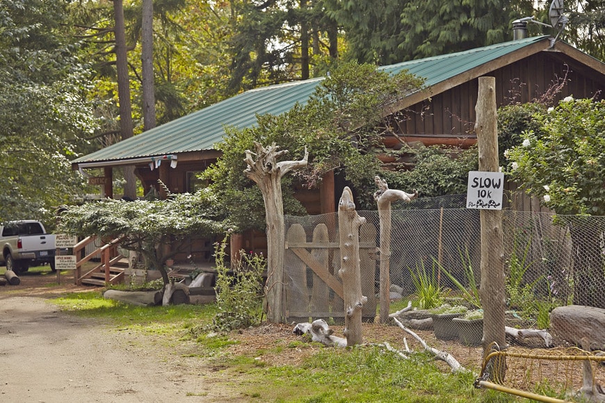 Hornby Island, BC Tribune Bay Campsite