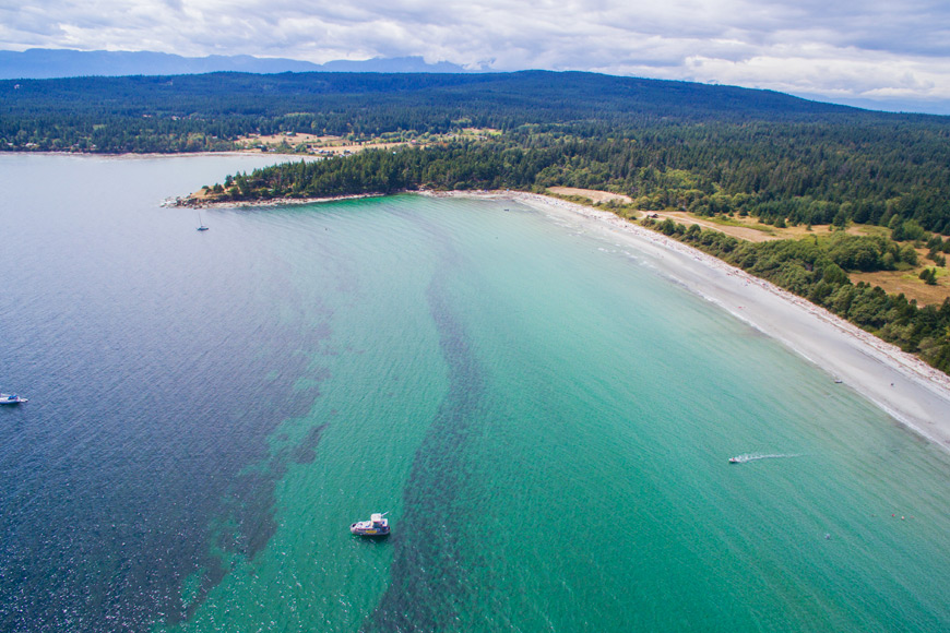 Hornby Island, BC Tribune Bay Campsite