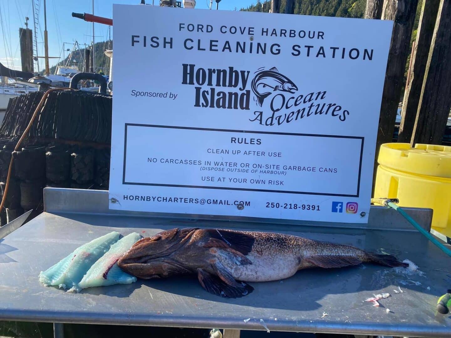 Hornby Island, BC | Upcoming Events | Hornby Ocean Adventures