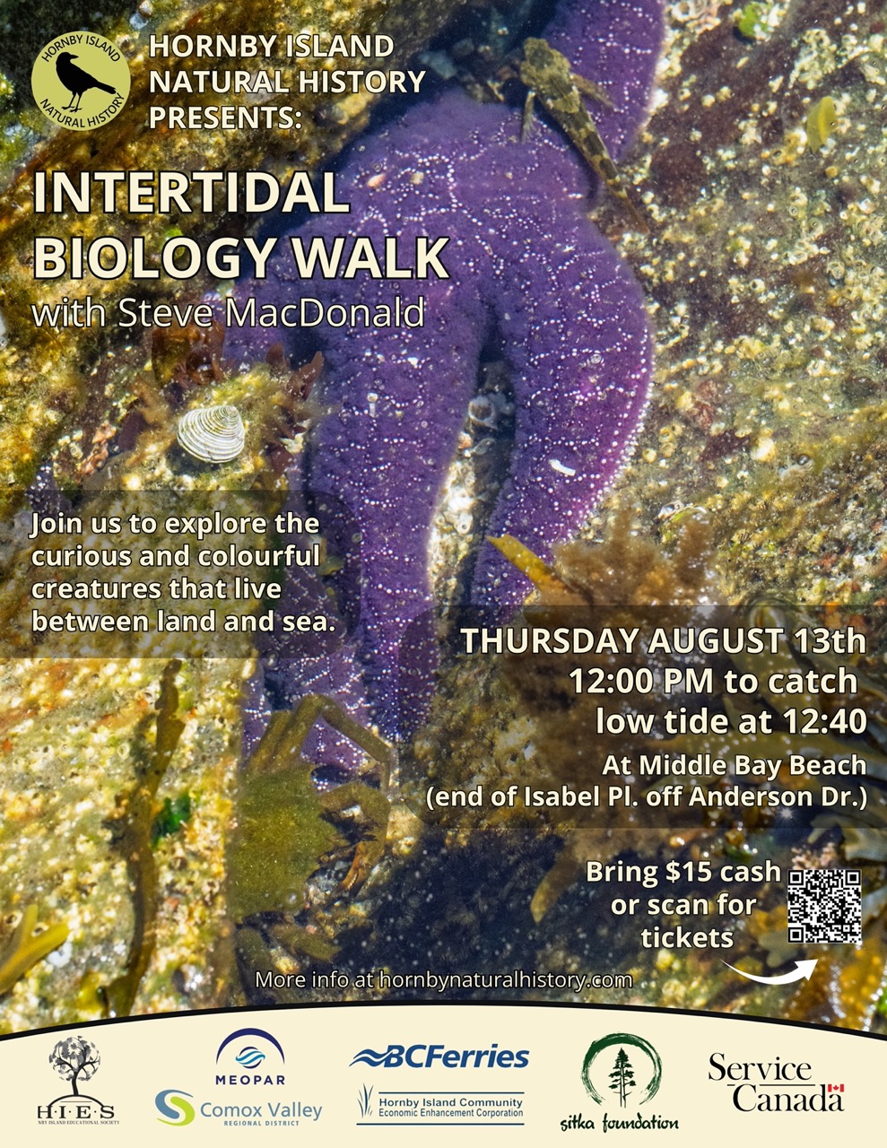 August 13 Intertidal Walk for web